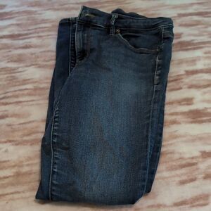 Ann Taylor Loft Blue Skinny Jeans‎ Size 0